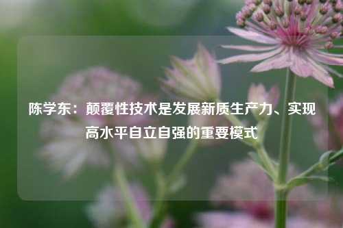 陈学东：颠覆性技术是发展新质生产力、实现高水平自立自强的重要模式