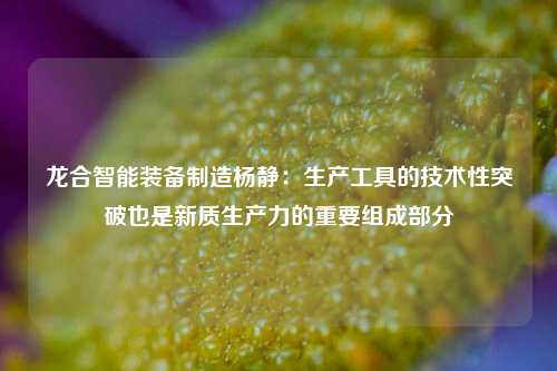 龙合智能装备制造杨静：生产工具的技术性突破也是新质生产力的重要组成部分