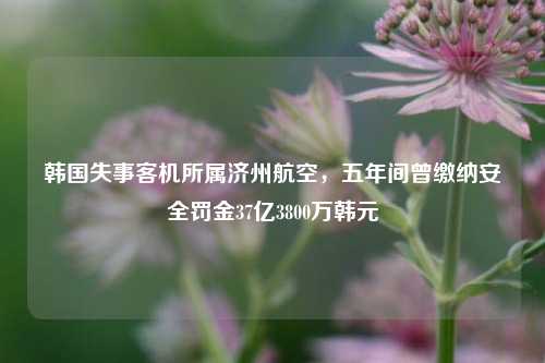 韩国失事客机所属济州航空，五年间曾缴纳安全罚金37亿3800万韩元