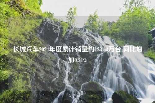 长城汽车2024年度累计销量约123.33万台 同比增加0.21%