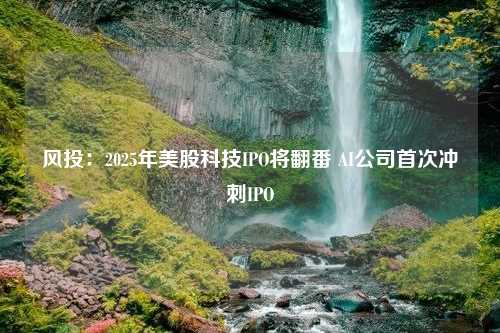 风投：2025年美股科技IPO将翻番 AI公司首次冲刺IPO