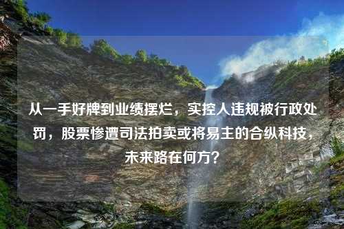 从一手好牌到业绩摆烂，实控人违规被行政处罚，股票惨遭司法拍卖或将易主的合纵科技，未来路在何方？