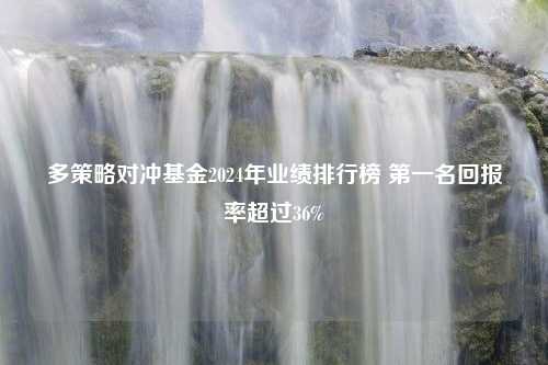 多策略对冲基金2024年业绩排行榜 第一名回报率超过36%