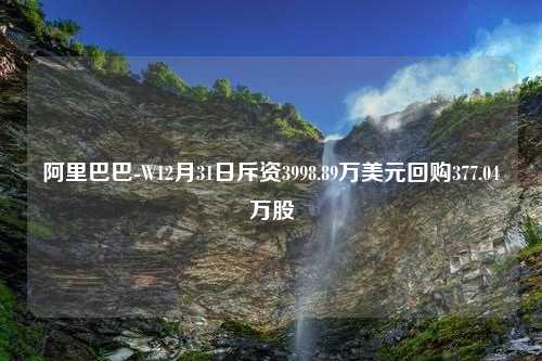 阿里巴巴-W12月31日斥资3998.89万美元回购377.04万股