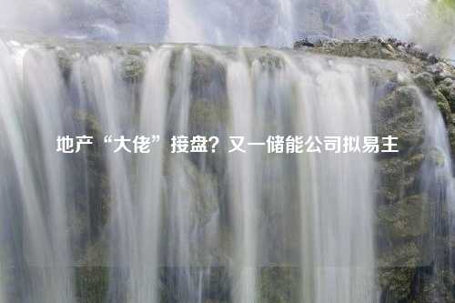 地产“大佬”接盘？又一储能公司拟易主