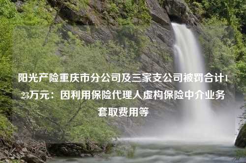 阳光产险重庆市分公司及三家支公司被罚合计123万元：因利用保险代理人虚构保险中介业务套取费用等