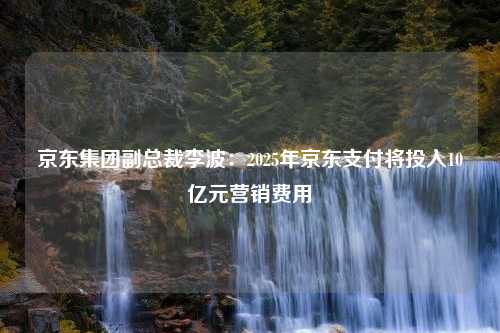 京东集团副总裁李波：2025年京东支付将投入10亿元营销费用