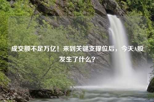 成交额不足万亿！来到关键支撑位后，今天A股发生了什么？